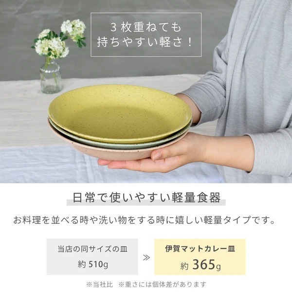 日本餐具 美濃燒餐盤 伊賀輕量深盤223mm 王球餐具 (2)