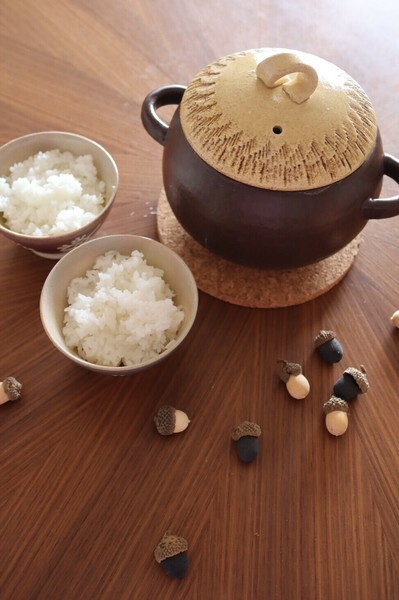 542760330_31859703390283658_141832444438087528_n