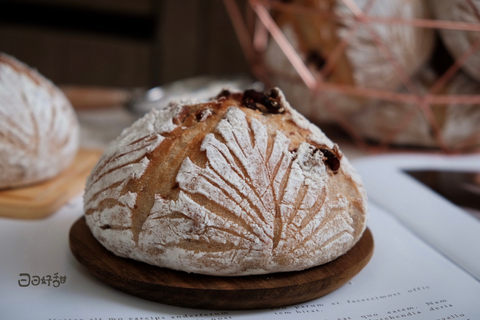 image_169EB966-DD81-41C0-BA68-C88EB29CF707_1773846265