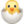 🐣