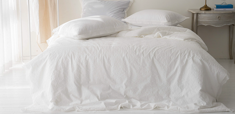 截圖 2026-03-30 上午11.44.04