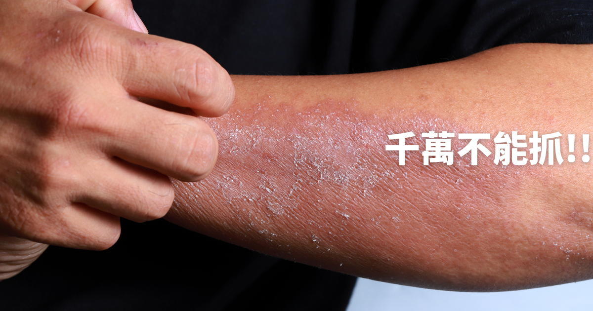 部落格內文圖 (18)