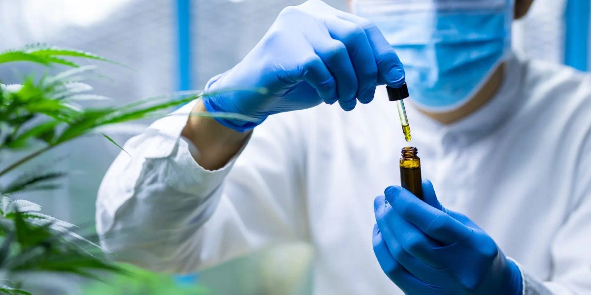 Hemp seed oil 大麻籽油的健康益處