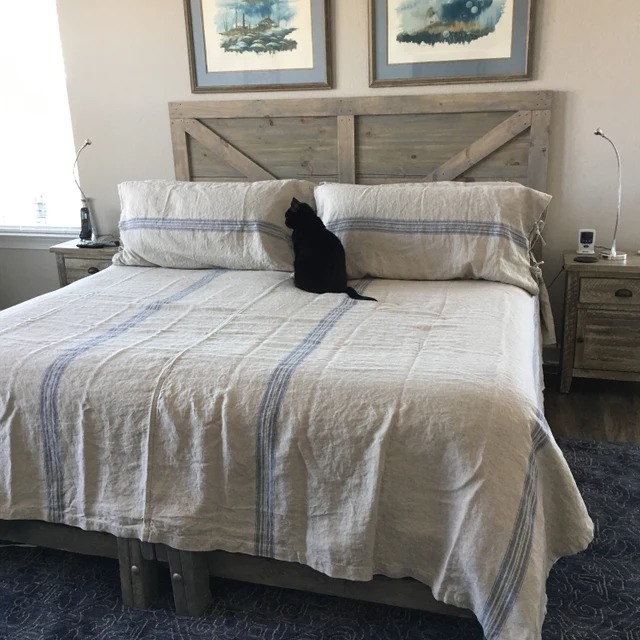 497502355_1273233908144167_3321422795855759086_n