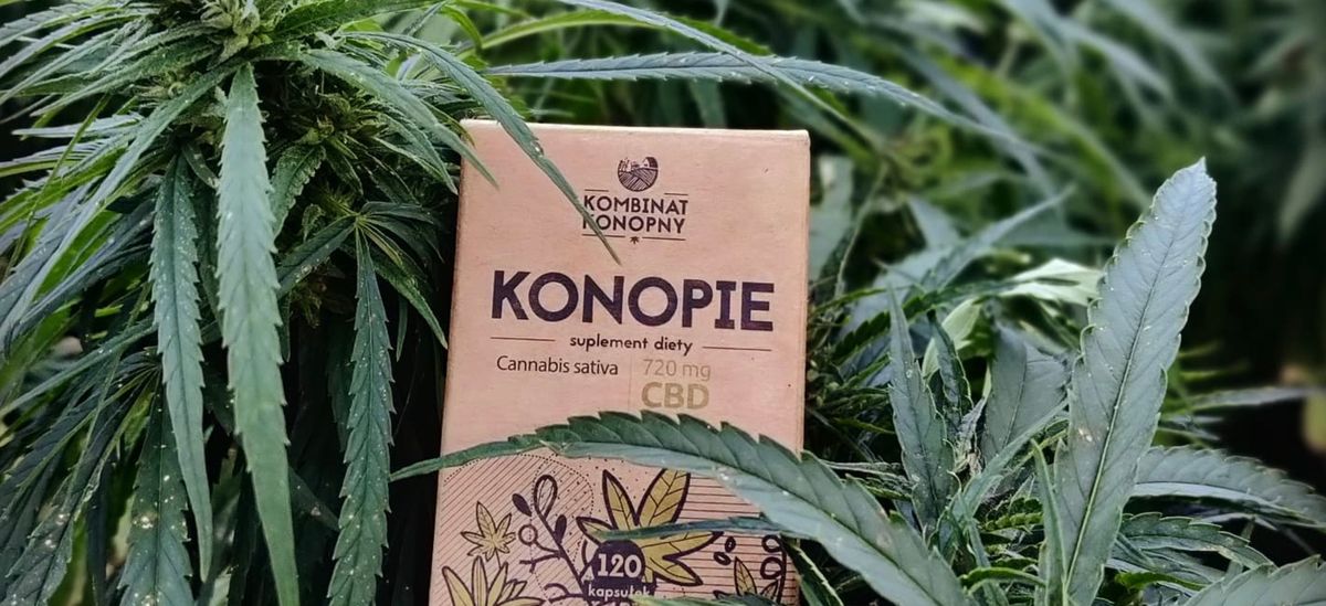 波蘭品牌 Kombinat Konopny 介紹