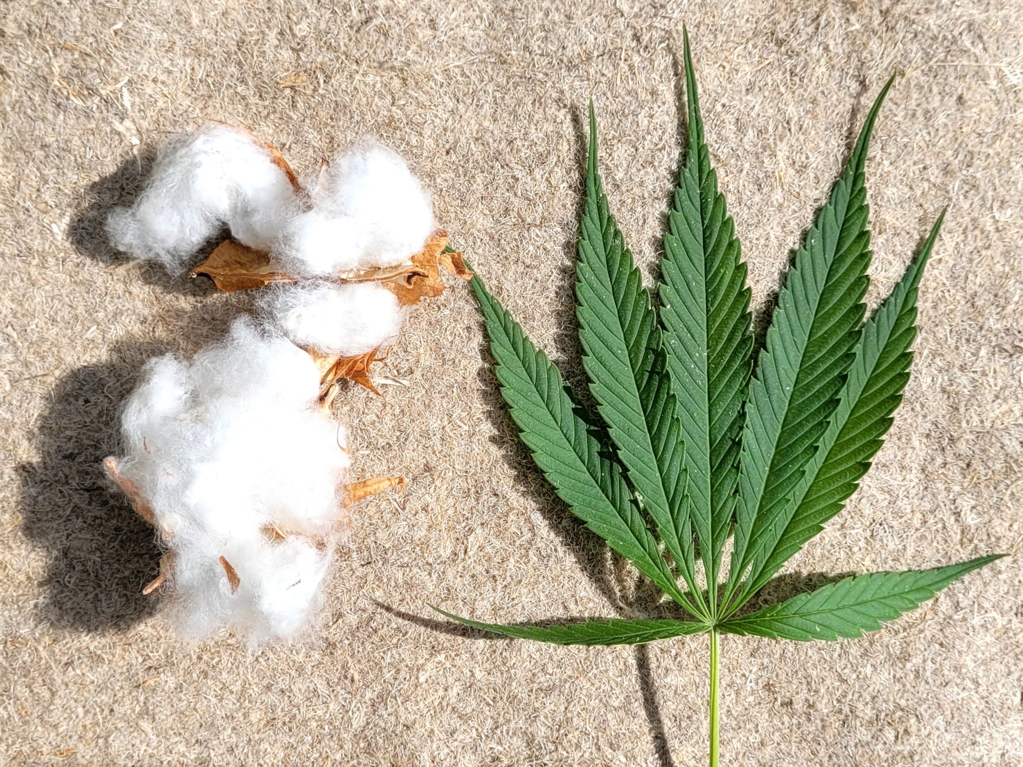 475058388_930896769170331_2748686835338454691_n