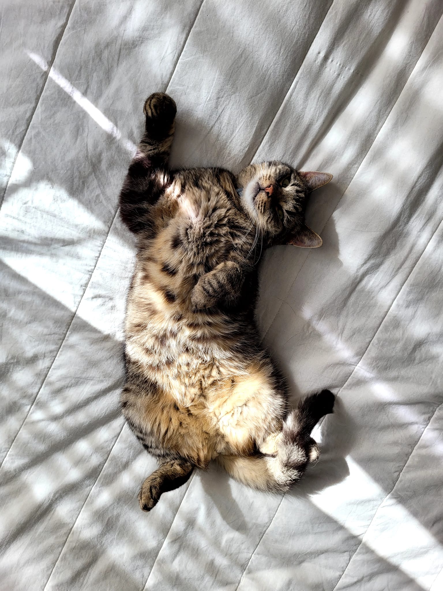 476429539_940492024877472_1435211481370211775_n