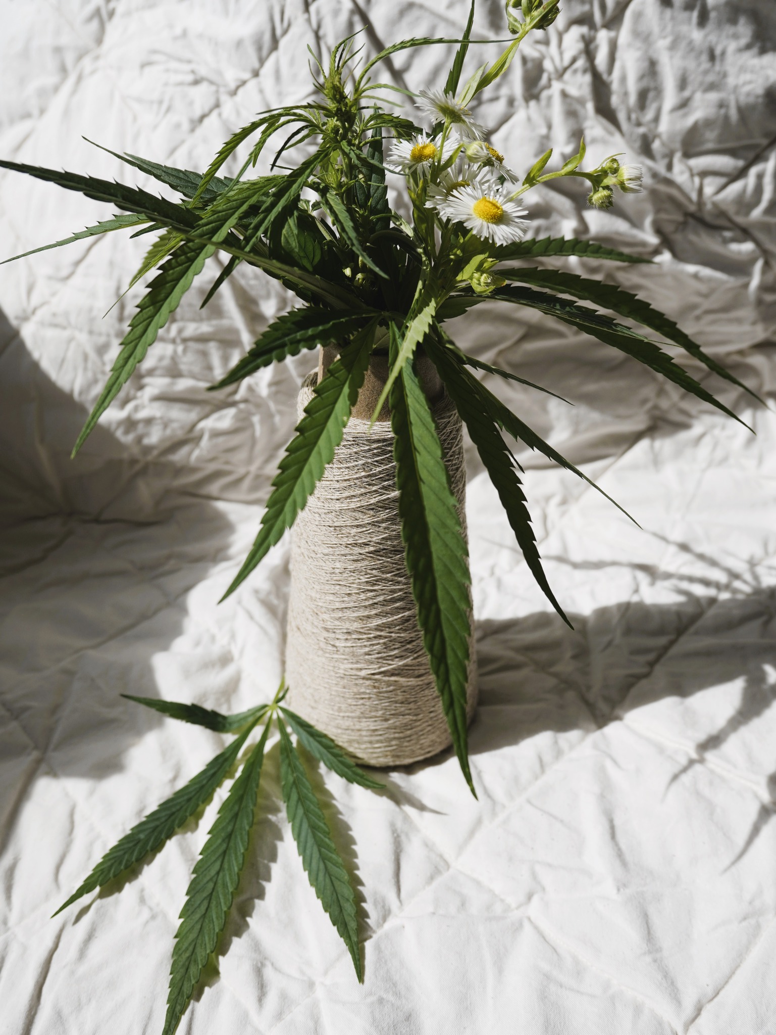 474998461_930889295837745_397670925209777355_n