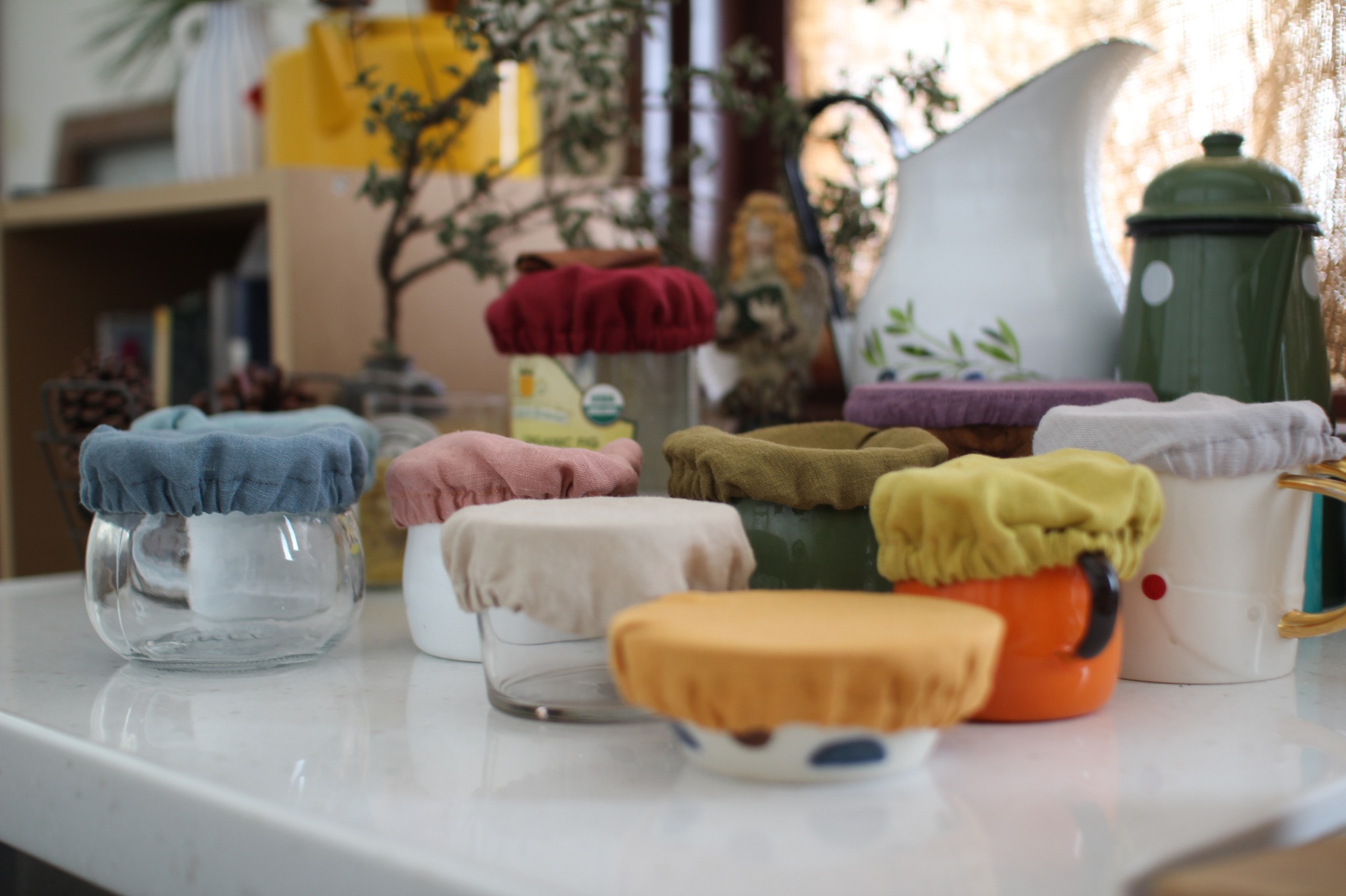 491919918_1254453056688919_8036482138020239136_n