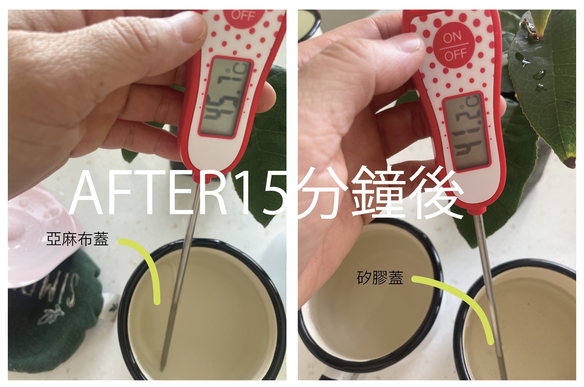 500346945_1286575490143342_6693696216757773067_n