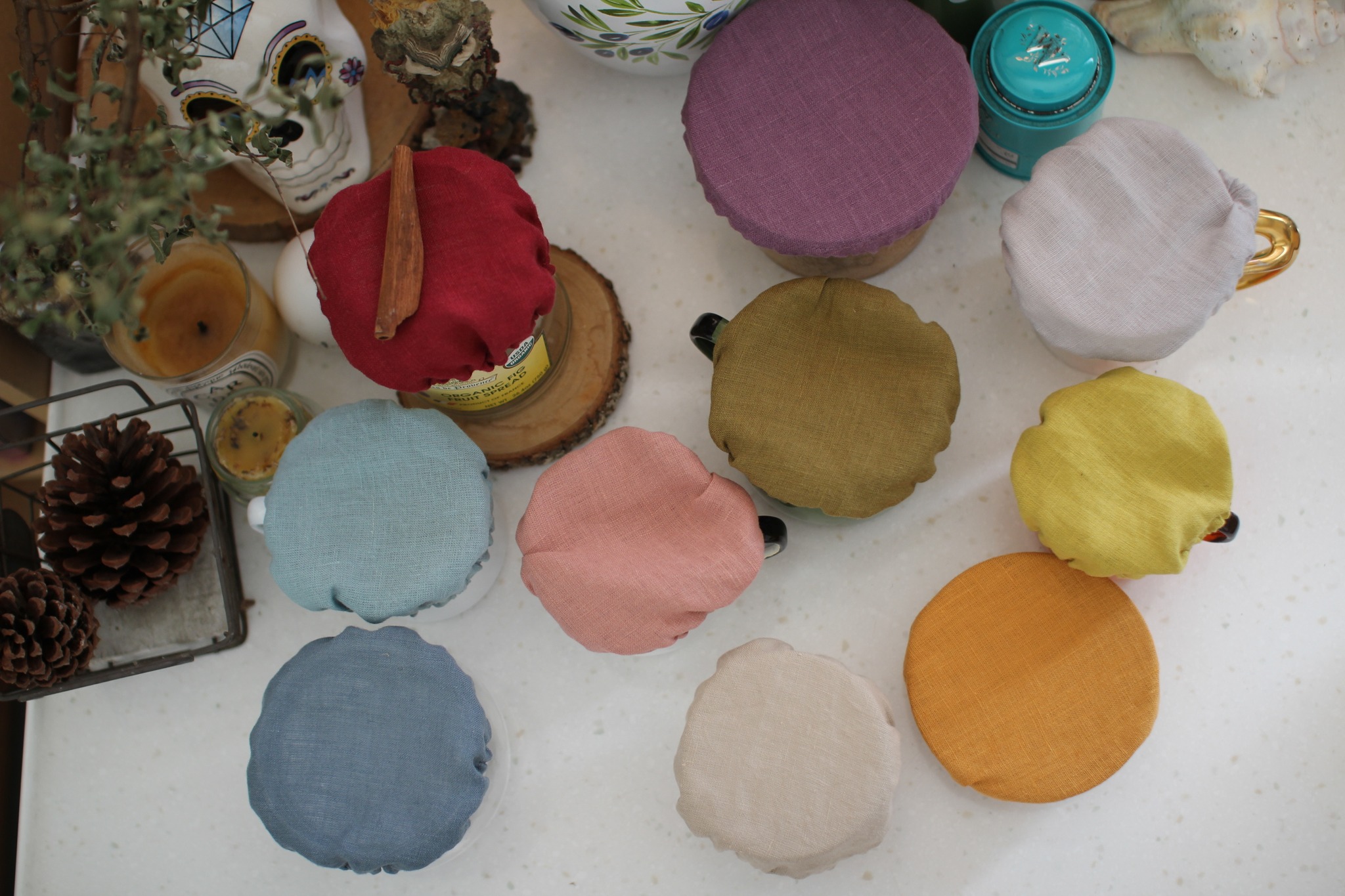 493967949_1255400163260875_7813607546270863818_n