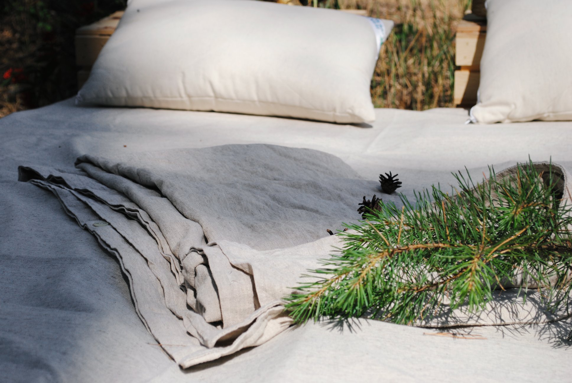 64276487_2266337883680487_8766988223571296256_n