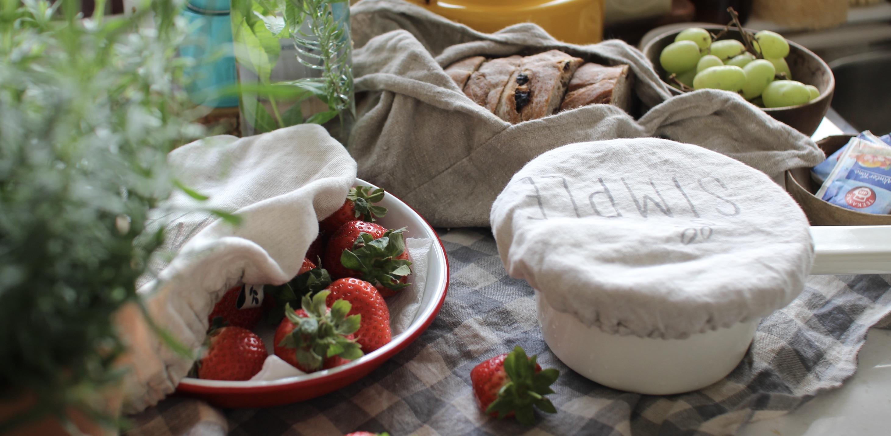 476836391_1821164641986912_2459192728548652596_n (1)