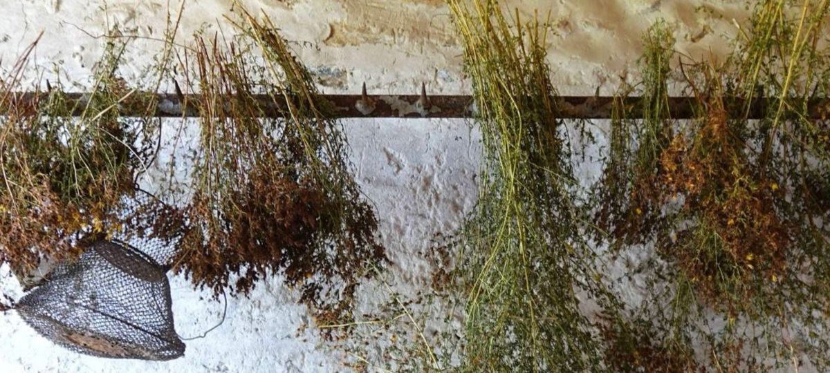 法國 91.530 Le Marais 大麻藝術農場工作坊