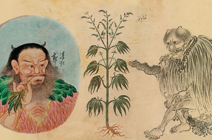 474769145_647827264243759_3500284559624672382_n