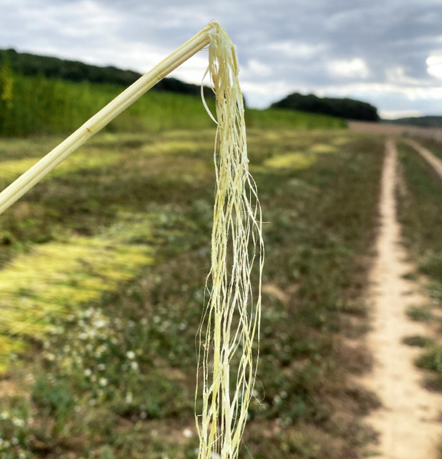 480253867_661113866248432_2722971918041847778_n