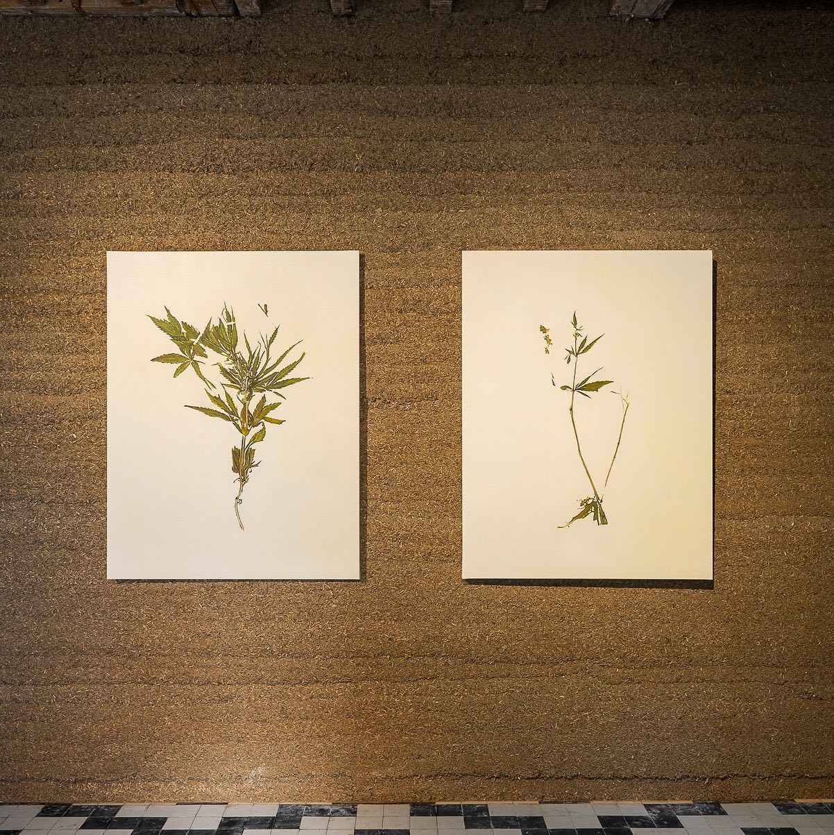 476776451_658719109821241_7797915556470752282_n