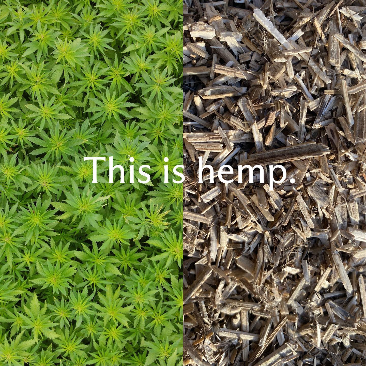 474778000_647177404308745_4064956976695287387_n