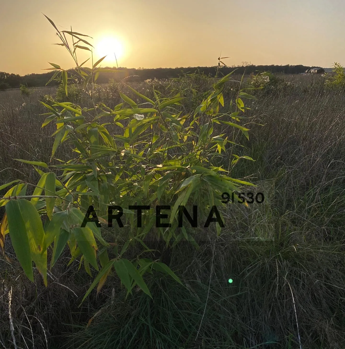 468297148_18048106346085157_2748058020965553830_n