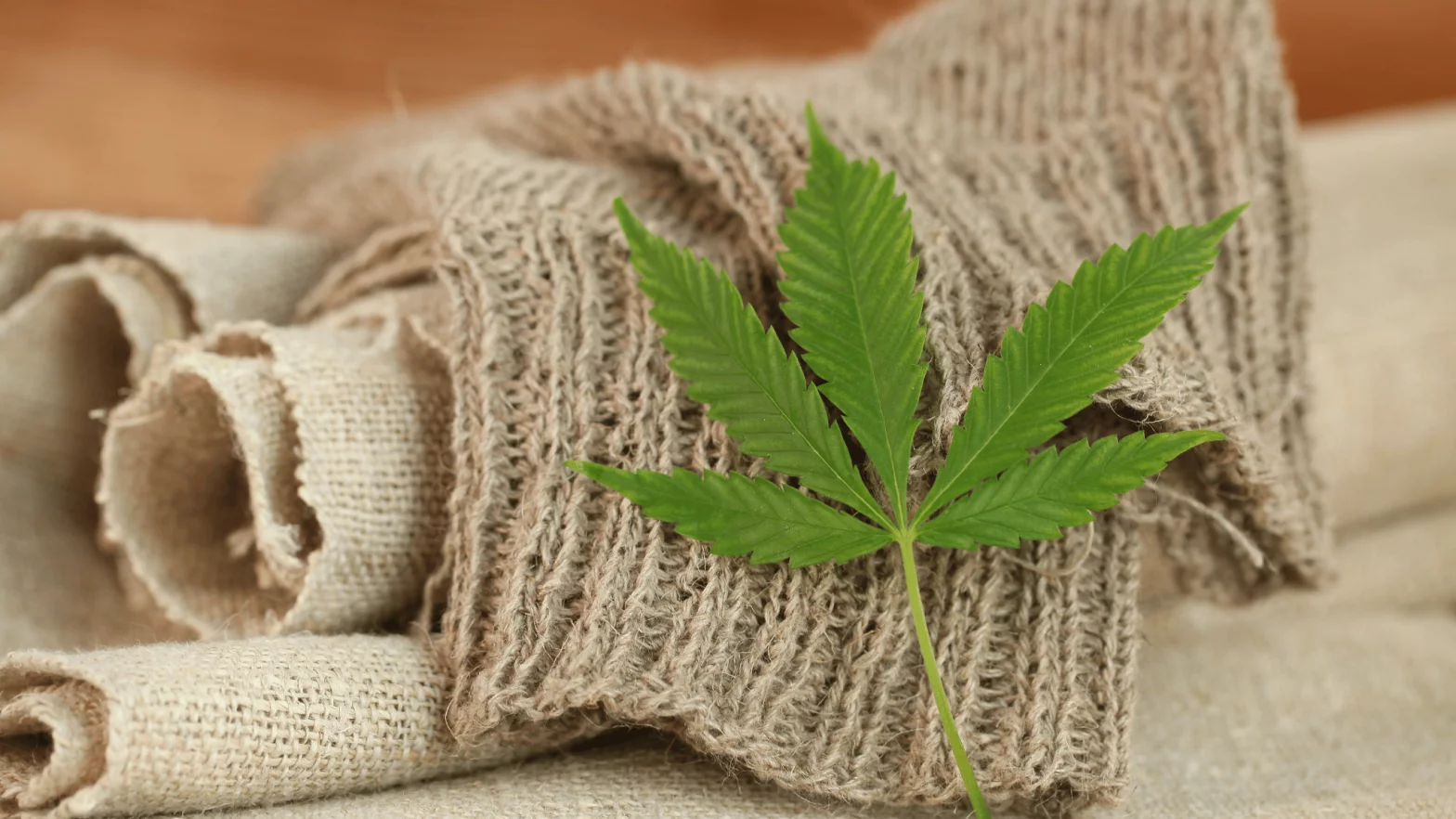 Hemp-for-Bag-Manufacturing-1568x882
