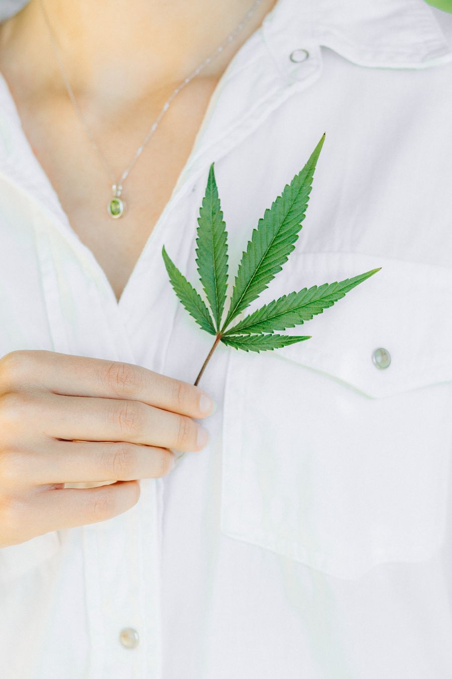 Hempitude | Featured Collections - WHY HEMP?