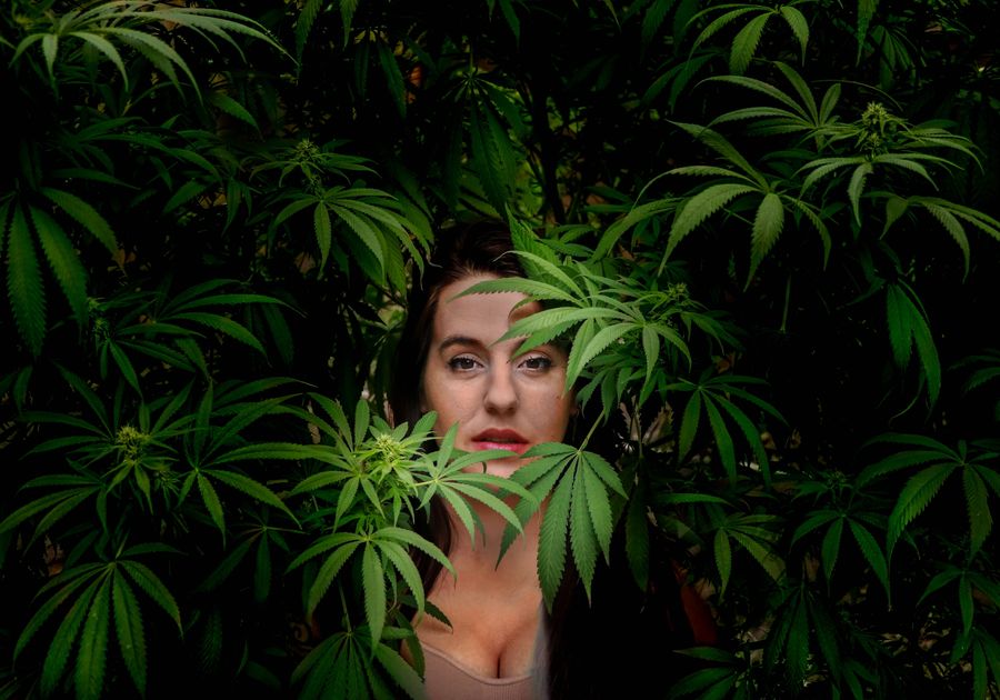 Hempitude | Featured Collections - WHAT'S HEMPITUDE? 