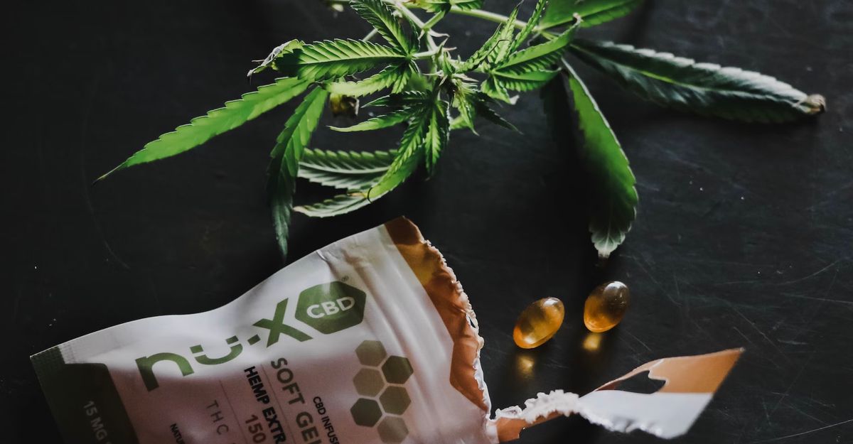 9 項科學支持CBD油的好處