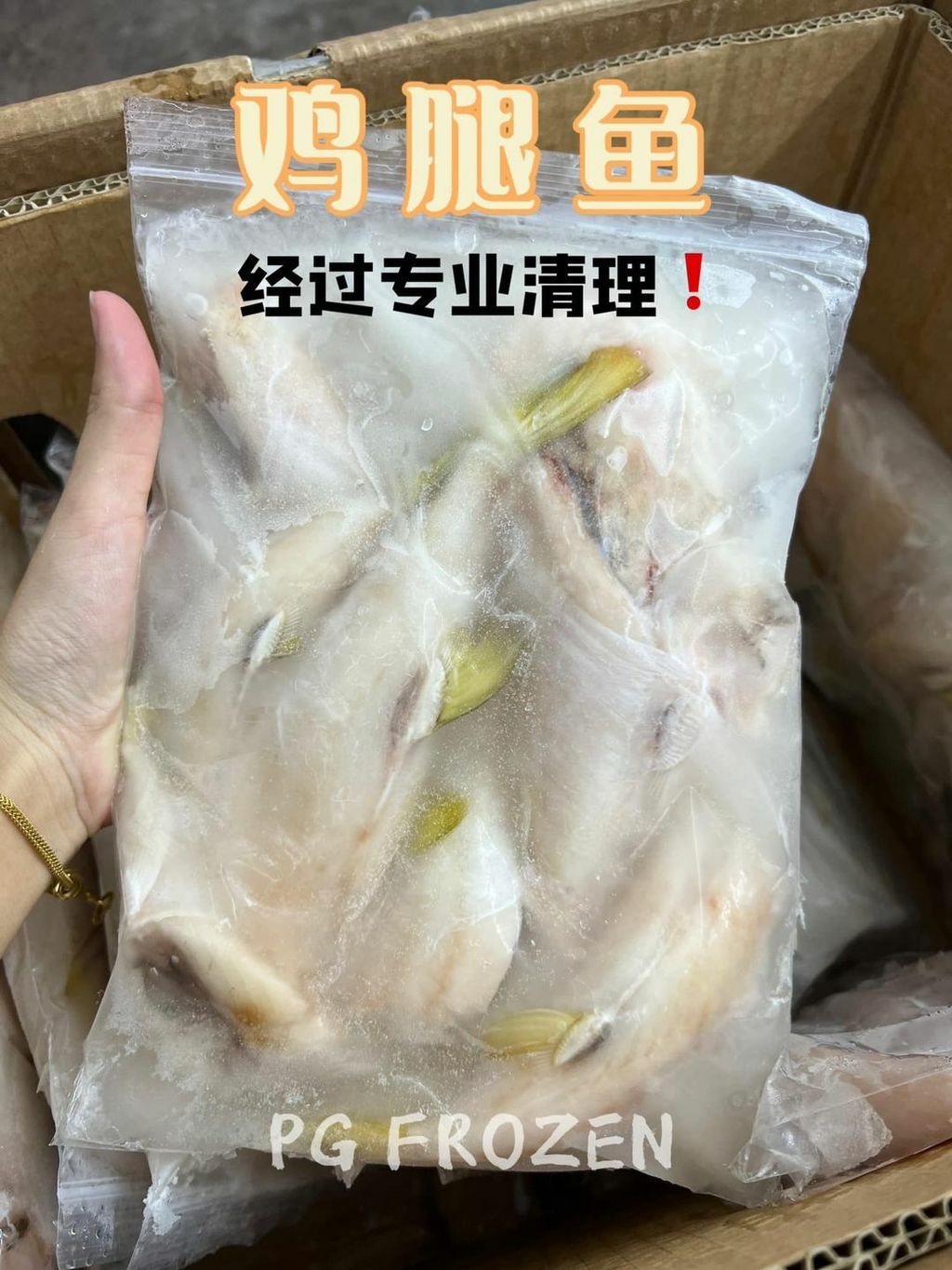 312987774_141371641977067_4362577946156253251_n