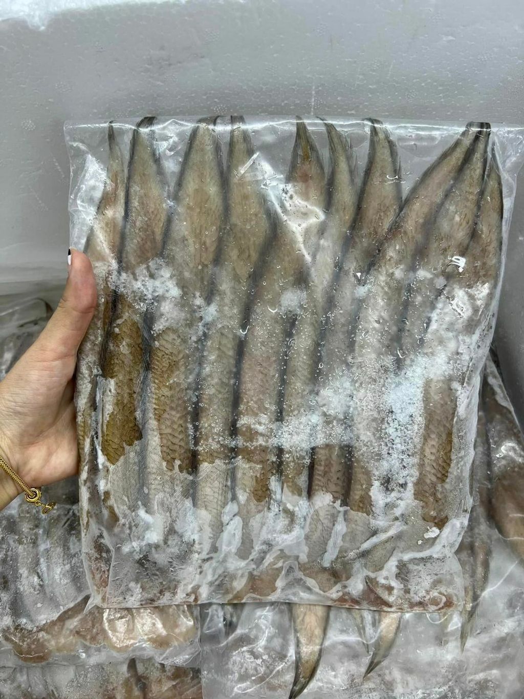 302304899_161226213167514_5308173555279689929_n