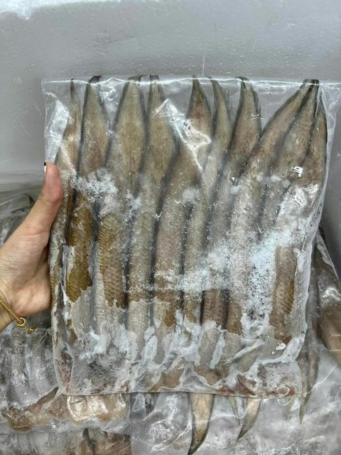 302304899_161226213167514_5308173555279689929_n