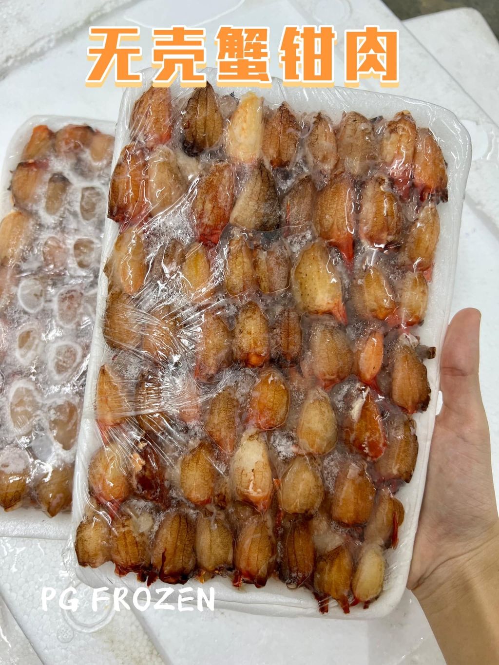 307087671_165085729448229_4246575936484940644_n