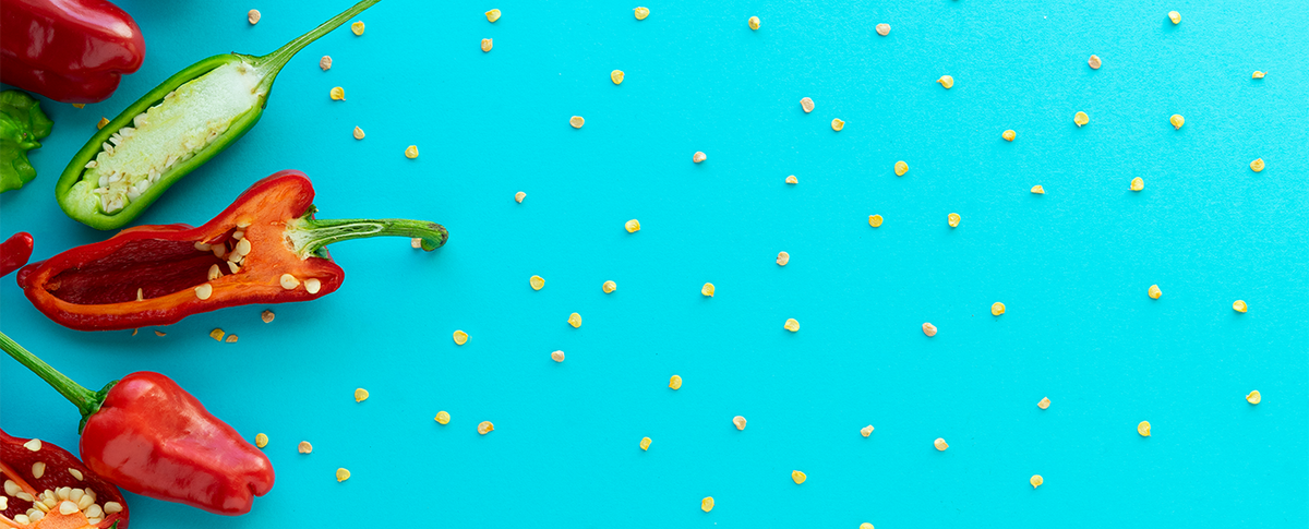 全球最辣辣椒排行榜|Scoville辣度排名與十大超辣品種