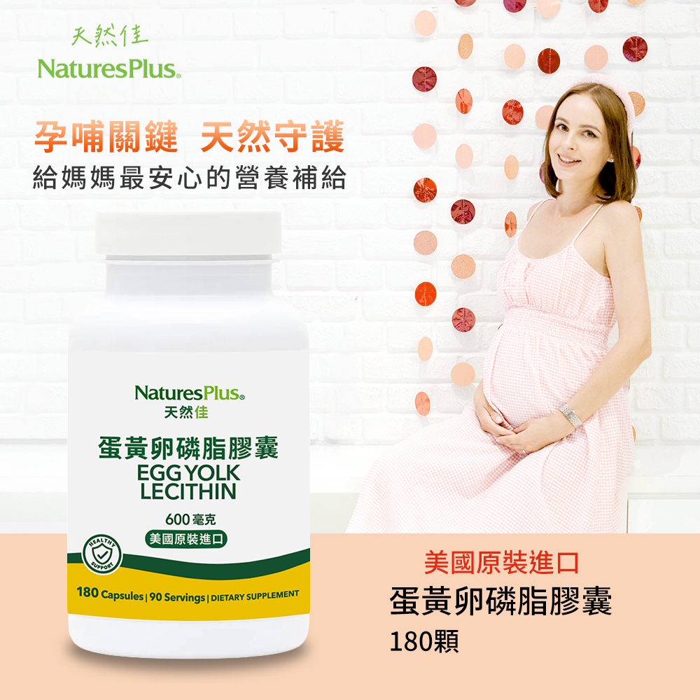 蛋黃卵磷脂膠囊 產品主圖