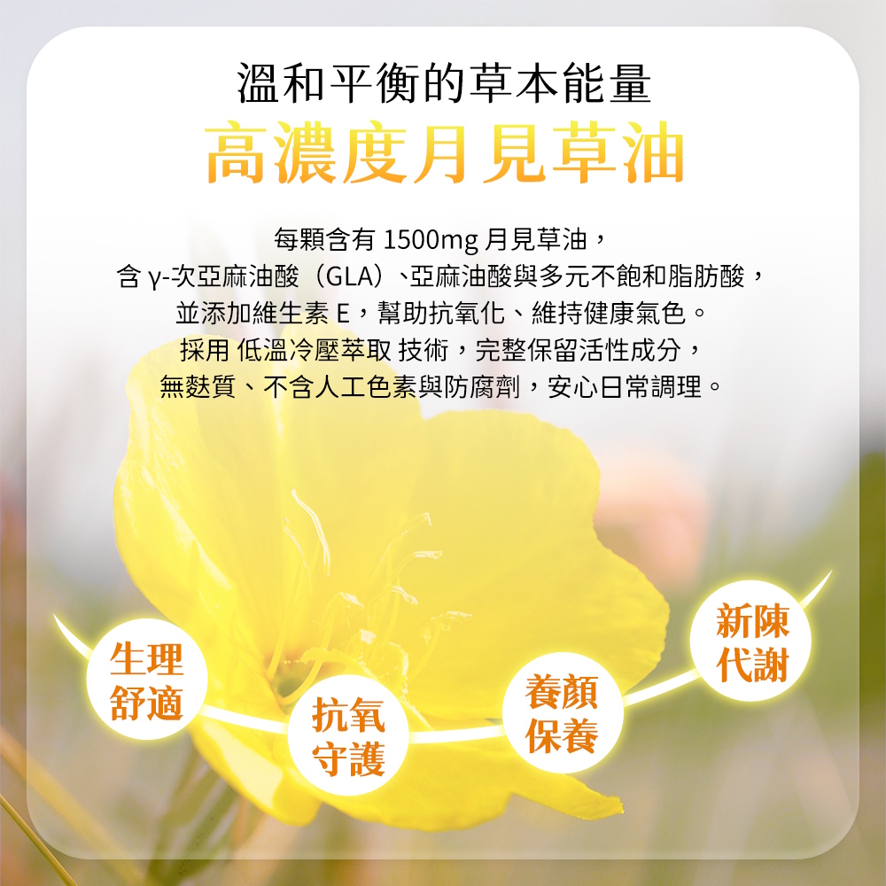 月見草油1500毫克軟膠囊 特色介紹