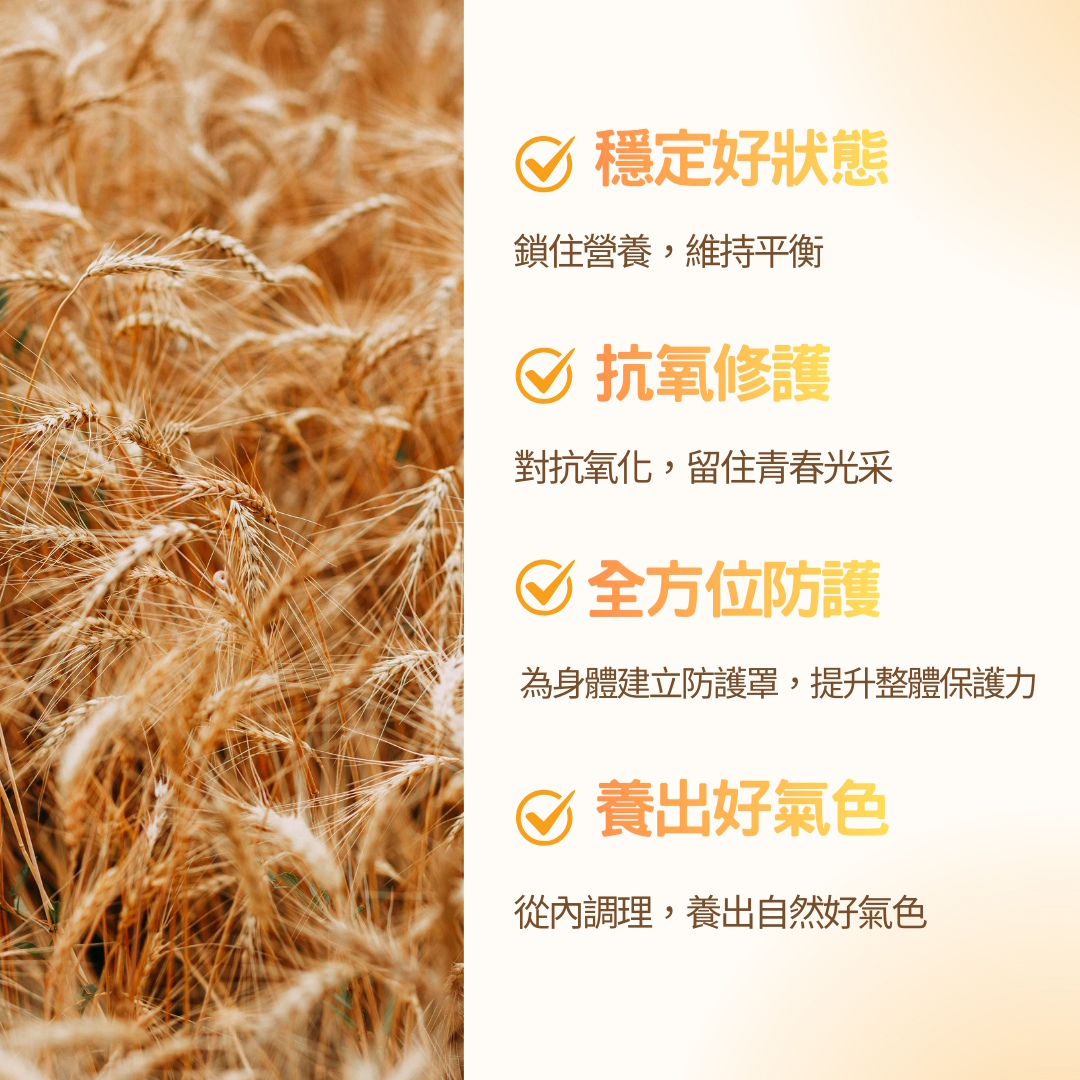 維他命E軟膠囊特色介紹