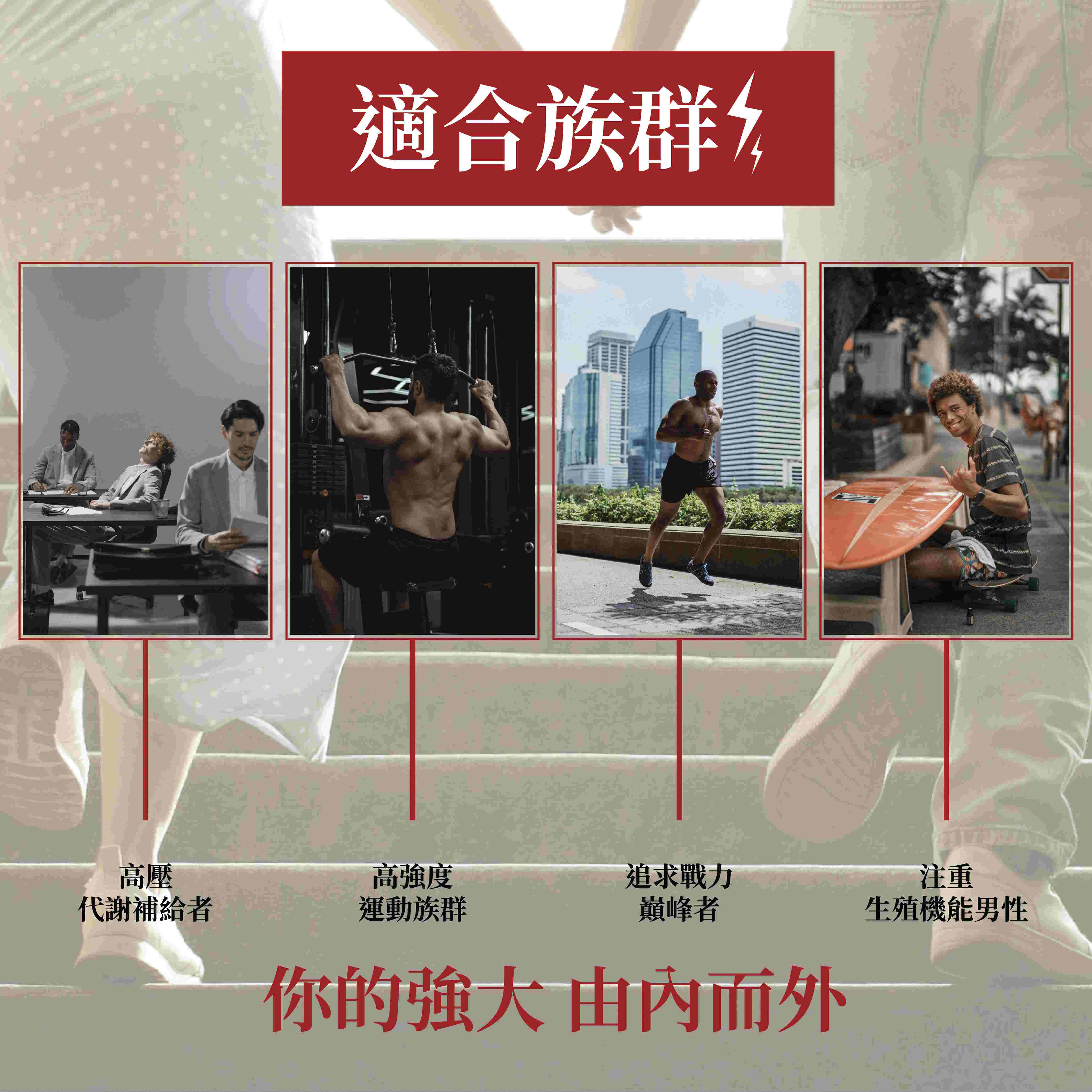 活力鋅錠 適用族群