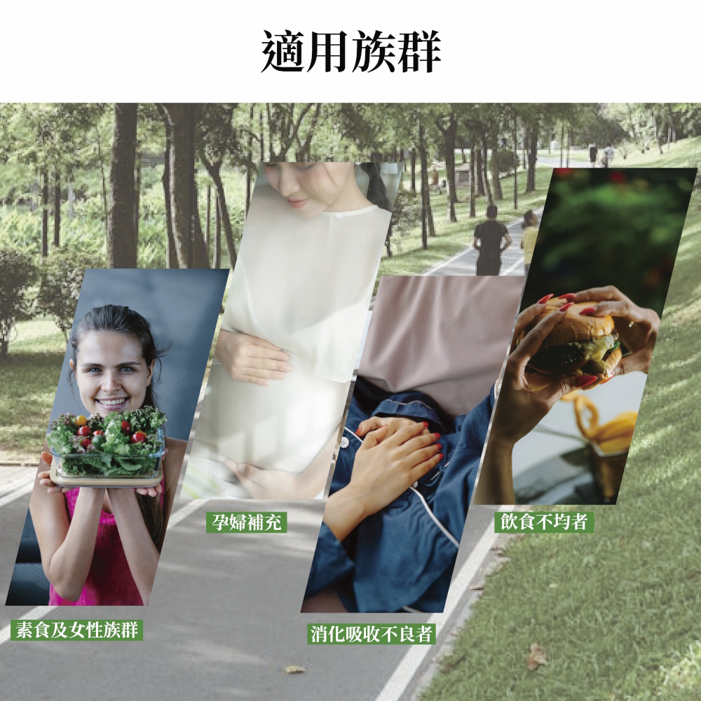 維他命B12錠 推薦族群