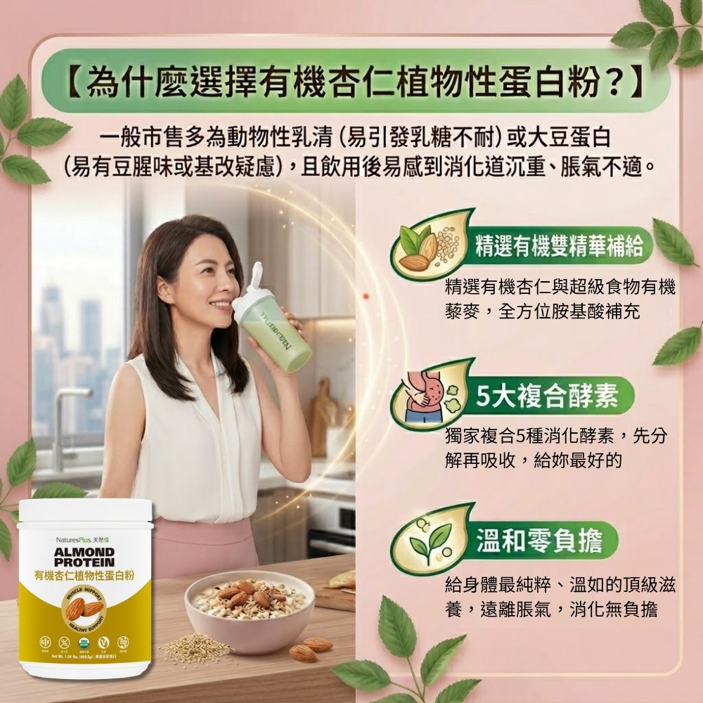 植物蛋白粉_產品特色