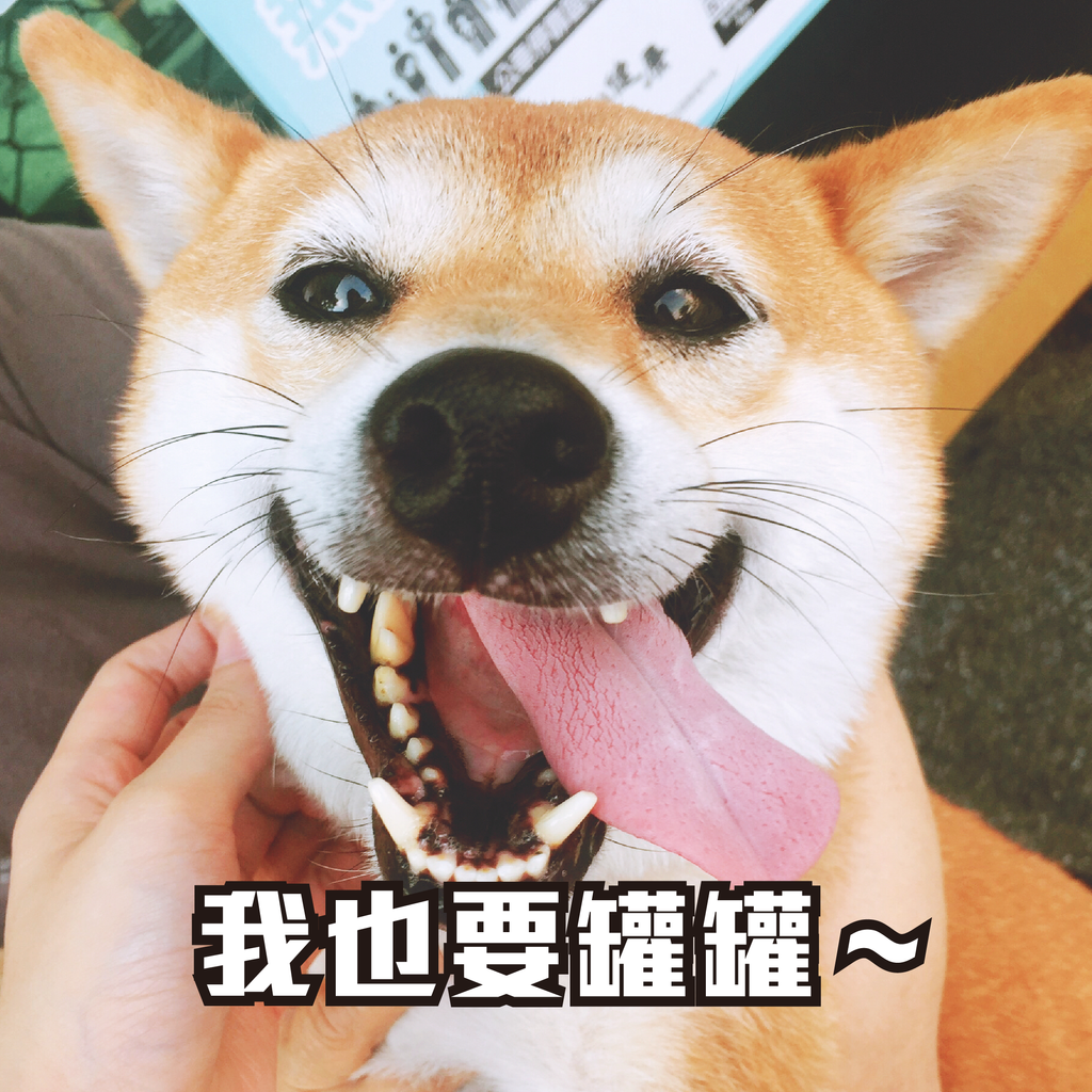 自己的罐罐自己賺-03