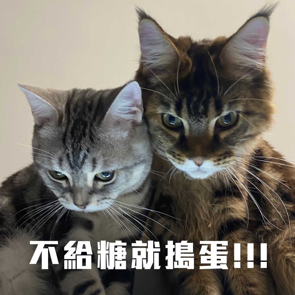 自己的罐罐自己賺-02