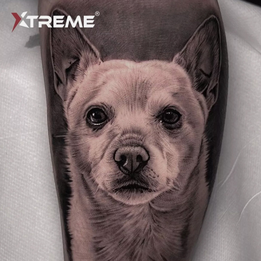 Xtreme_黑色漸層4色階層組-1oz-05