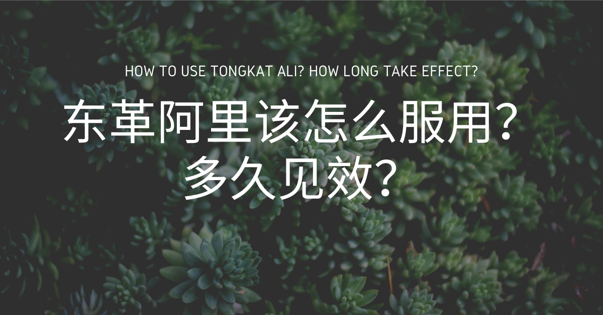 东革阿里该怎么服用?多久见效?