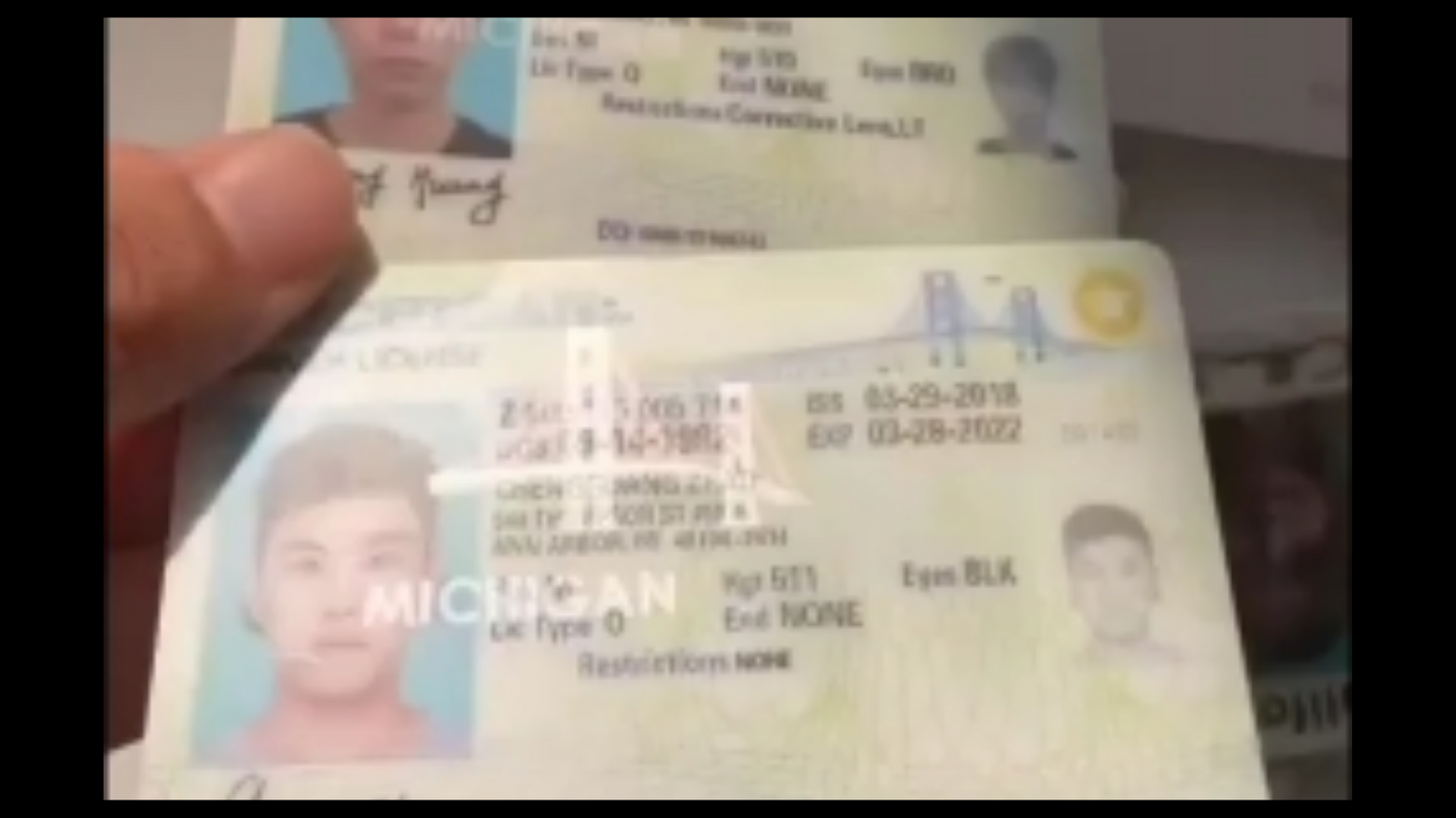 Idplug | STATE ID SCAN HOLO  click for telegram chanel