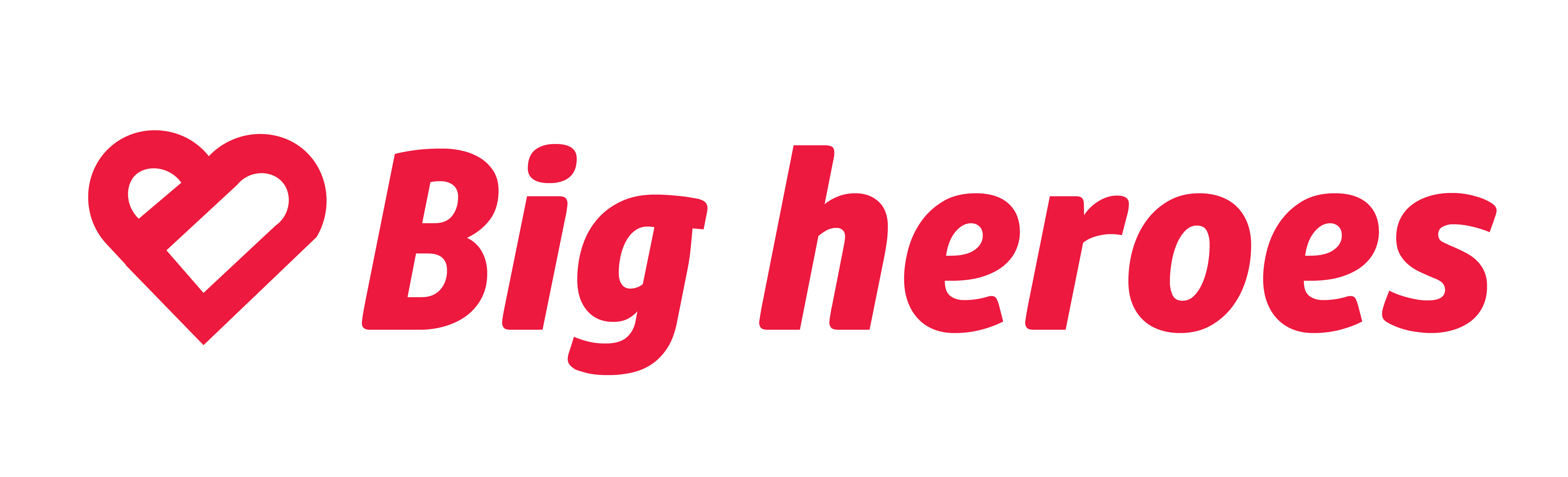 Big Heroes Charity