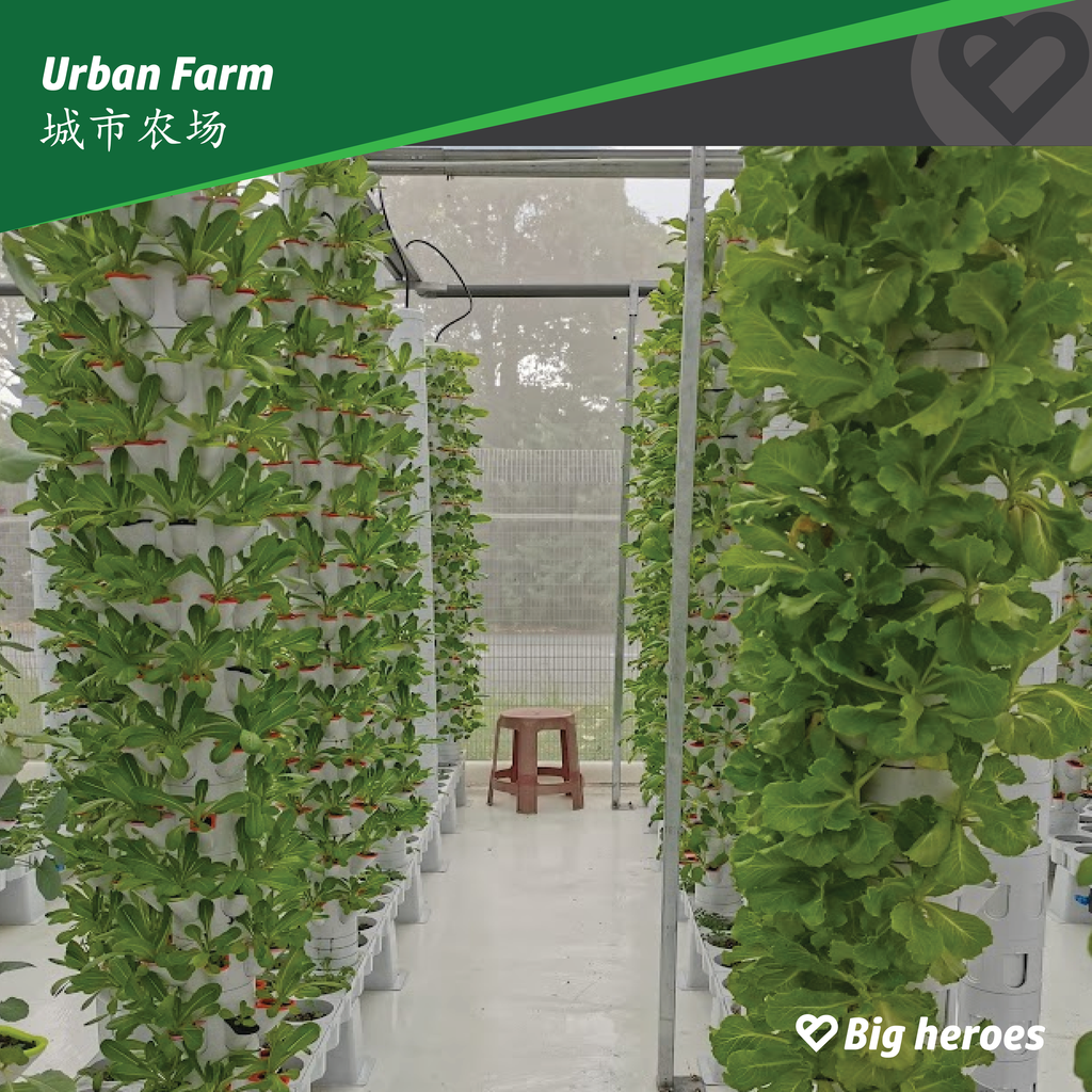 Urban Farm-02