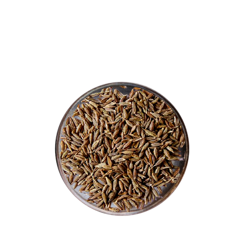 cumin seed.png