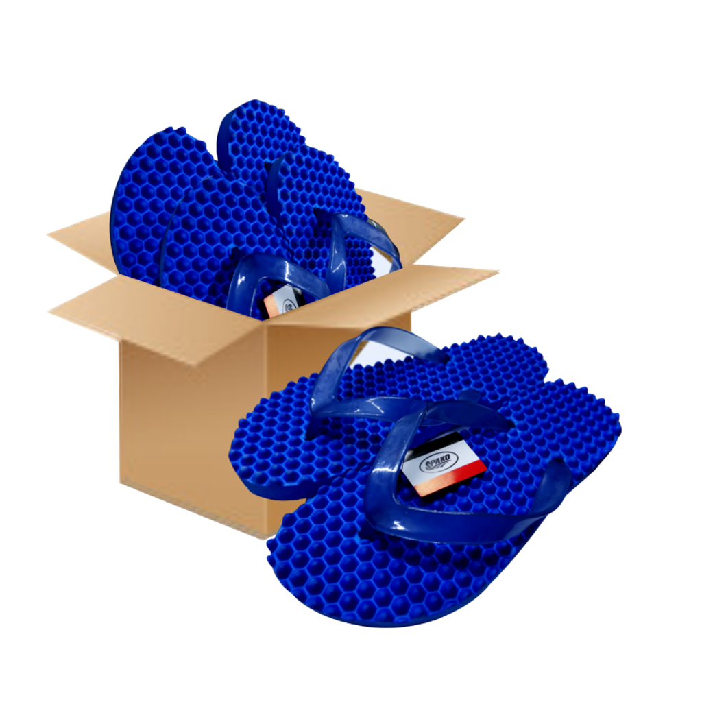 spako blue slipper 1 doz.png