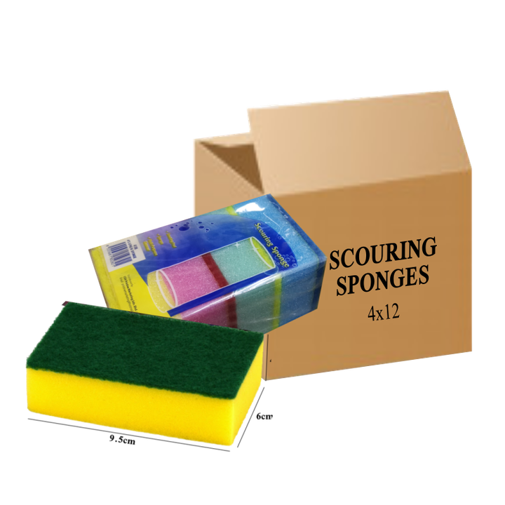 scouring sponge 1 doz.png