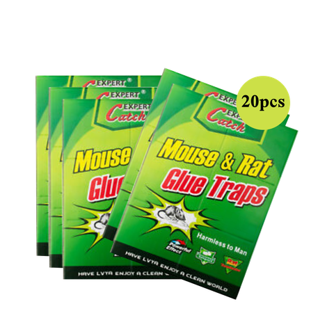 expert catch mouse trapx20