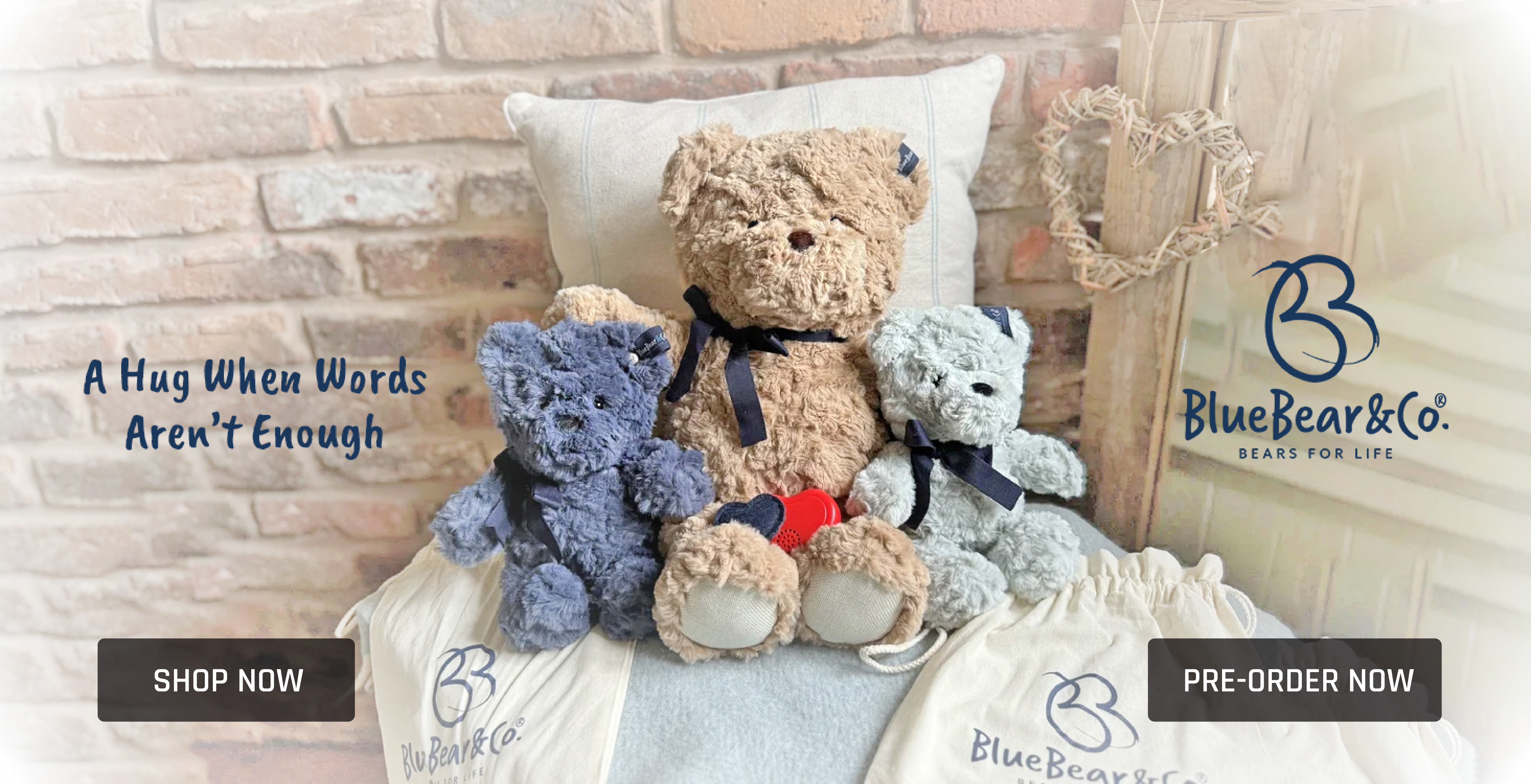 BlueBear Website Banner